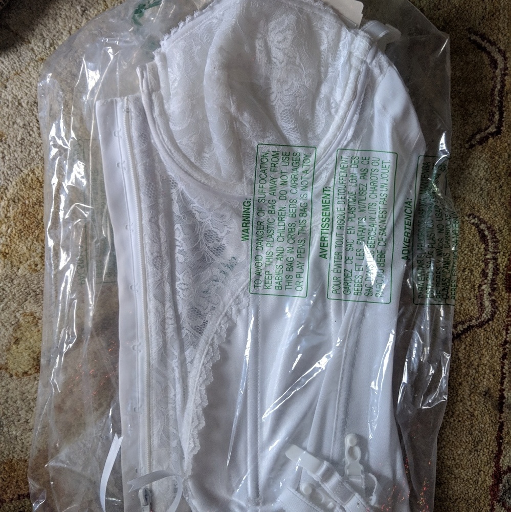 Carnival Backless Lace Corset Bustier Bra NWt - Picture 7 of 8